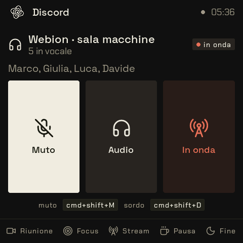 Lo schermo del widget Discord